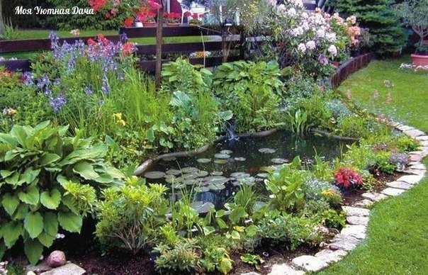 какие растения посадить у садового пруда! каждый начинающий прудовод задается вопросом какие растения посадить у садового пруда. для равновесия экосистемы водоема вам понадобятся 5 видов