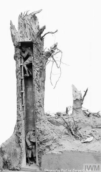 Такие "фальш-деревья" использовались как наблюдательные посты в первой мировой войне
