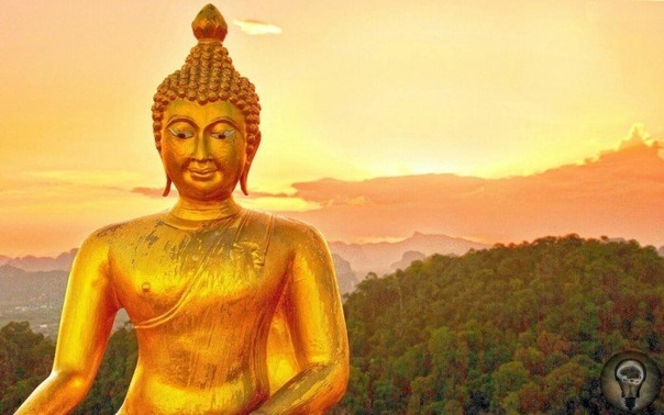 В ЧЁМ ЗАГАДКА «ПРИЧЁСКИ БУДДЫ» Одна из интереснейших личностей древности индийский принц Сиддхартха Гаутама, который впоследствии стал известен как Будда Шакьямуни, или просто Будда, основатель