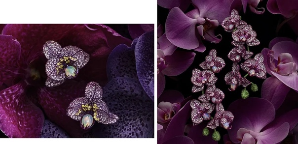 ТОП-10 цветков, застывших в драгоценных камнях Вовсю набирает моду цветочный мотив в ювелирных украшениях. В этой подборке десять интересных украшений с драгоценными