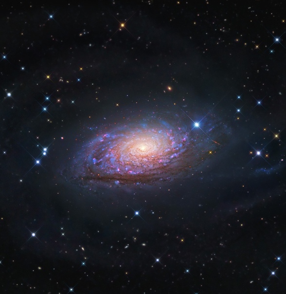Галактика Подсолнух M63 или Ngc 5055