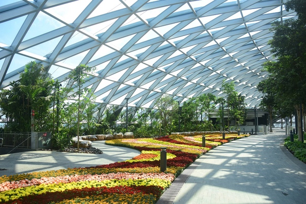 Уникальное сооружение Jewel Changi Airport (Сингапур) Jewel Changi Airport это пятиэтажный торговый комплекс и уникальный парк с 2500 деревьями и 100 000 растениями со всего мира, спрятанные под