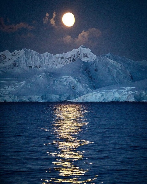 Антарктика Фото: ahli April Hindmarsh