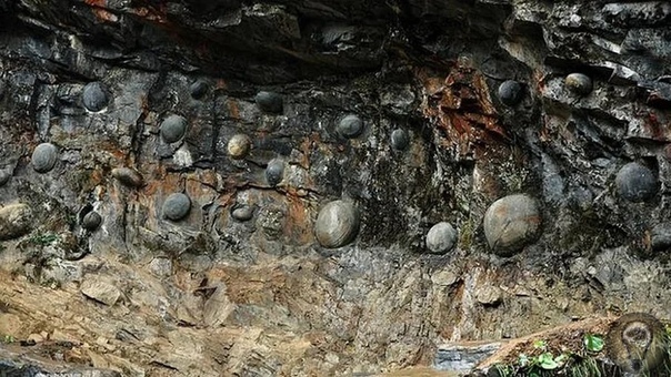 Чудо-Скала, откладывающая таинственные яйца. В китайской провинции Гуйчжоу находится гора, откладывающая яйца. Загадочная скала Чан Да Я откладывает каменные яйца идеально круглой и овальной